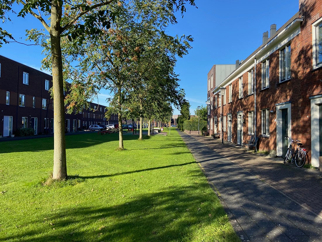 Groenstroken Parkrijk in Saendelft