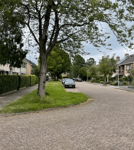 Burgemeester Vijlbriefstraat