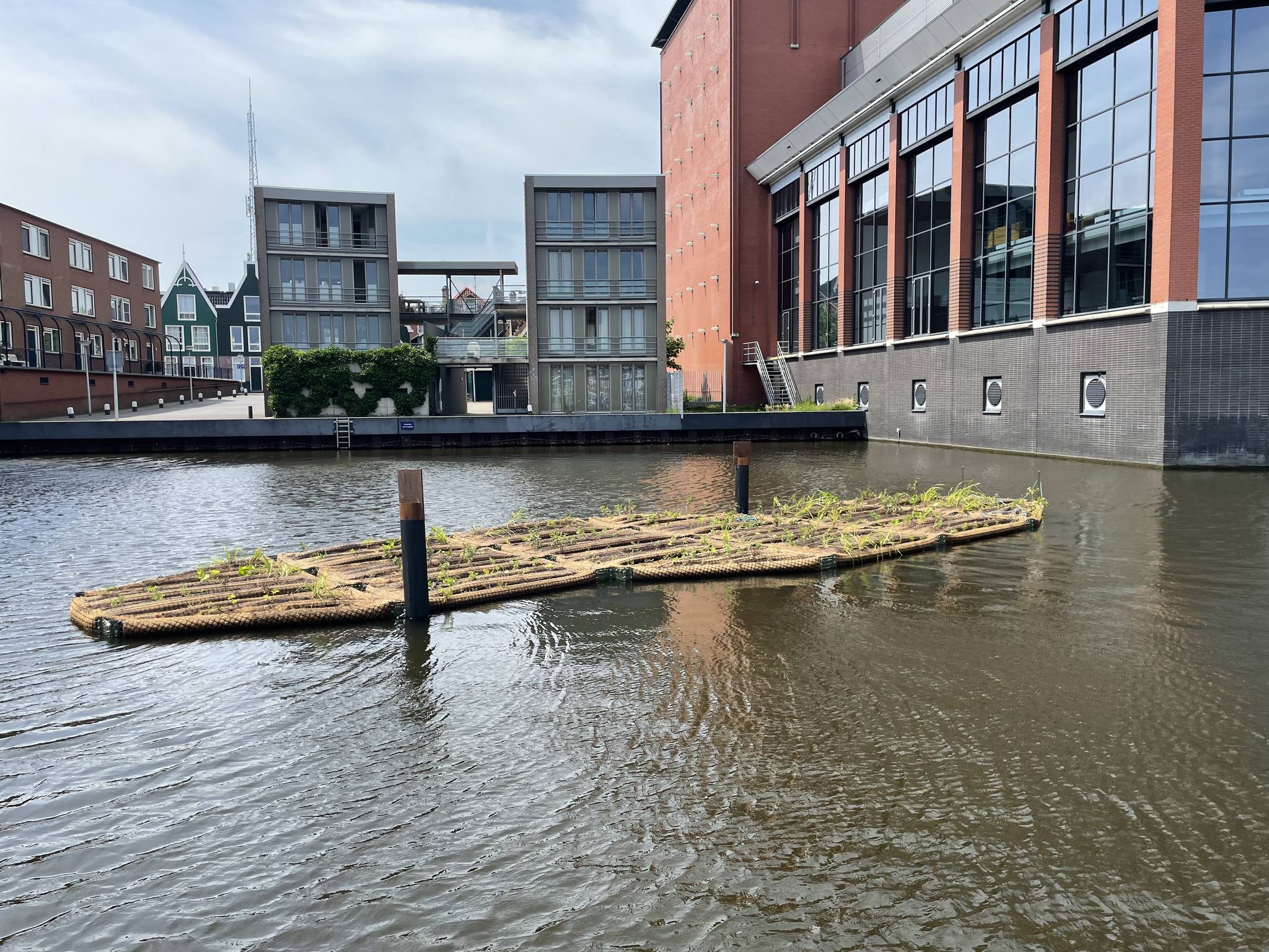 Drijvende tuinen in de Zaan