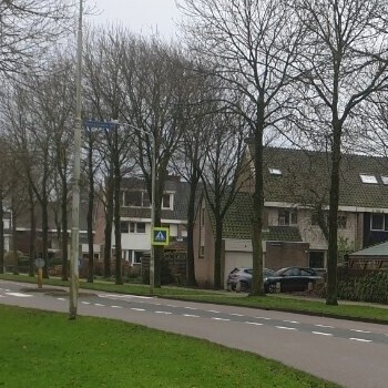 Westerzoom in Koog aan de Zaan (westerkoog)