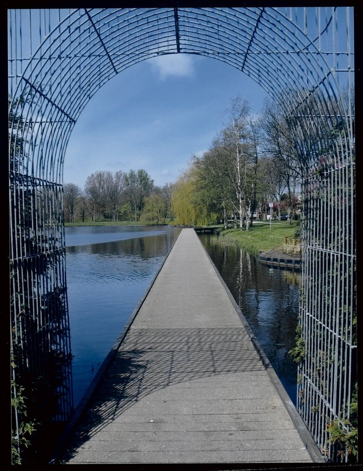 Afbeelding van een vlonder in het Darwinpark