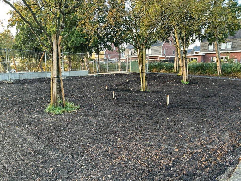 Afbeelding van het ingezaaide gras. In het veld staan een aantal bomen.