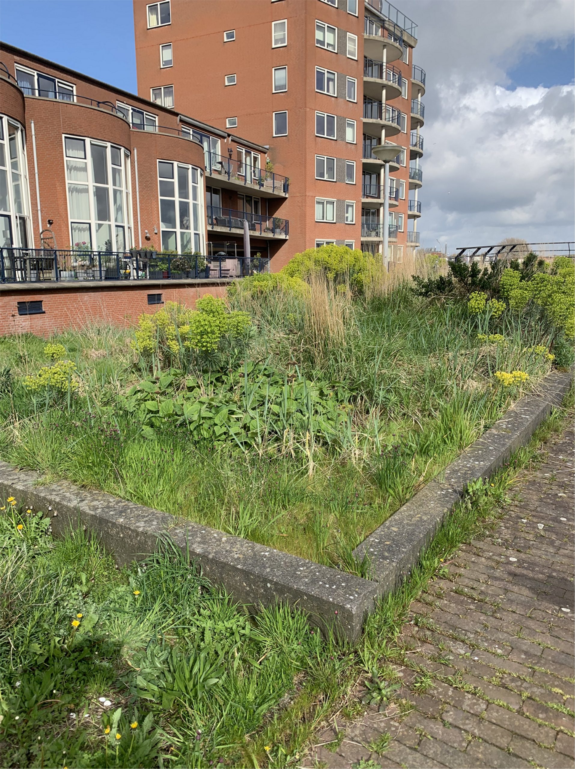 Afbeelding van het groen bij de Hoge Horn.